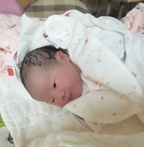 做试管婴儿手术为什么要打促排针要打多久