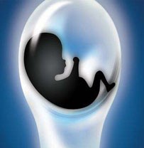 分享一下:试管包男孩成功率高吗？