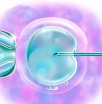 夫妻50多岁，女儿常年不在身边，年底接儿子回家